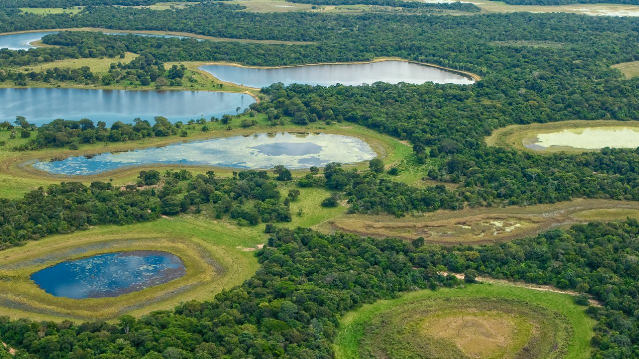 O Pantanal Sul-Mato-Grossense é uma das regiões de maior diversidade natural do Brasil, atraindo visitantes em busca de contato genuíno com a fauna local e experiências únicas em safáris fotográficos.