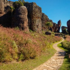 Um passeio diferente no Paraná que mistura beleza, história e um toque de mistério Um passeio diferente no Paraná que mistura beleza, história e um toque de mistério