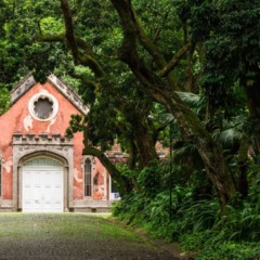 Essa visita encanta quem gosta de história, natureza e um toque de mistério