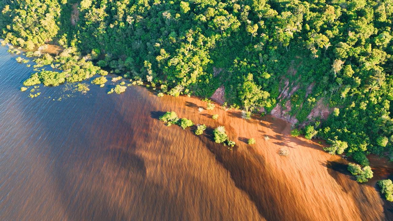 Um mergulho nas águas cristalinas do Parque Nacional de Anavilhanas proporciona um contato singular com a natureza amazônica