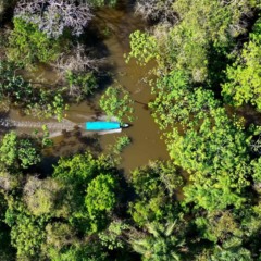 Refúgio natural onde animais e paisagens encantam a cada curva