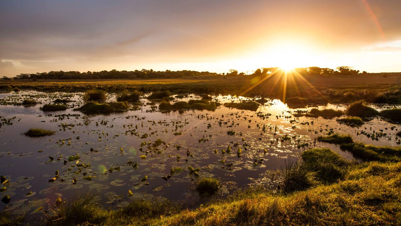 Refúgio natural onde animais e paisagens encantam a cada curva