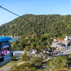 Banhado pelas paisagens naturais do litoral catarinense, o Parque Unipraias é um dos pontos turísticos mais conhecidos de Balneário Camboriú. Localizado em uma das cidades mais visitadas do Brasil, o parque atrai visitantes ao oferecer diferentes opções de lazer, com destaque para suas trilhas ecológicas por áreas preservadas de Mata Atlântica, além de vistas espetaculares do oceano Atlântico.