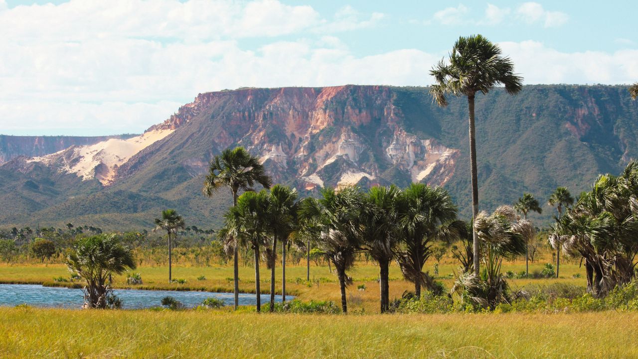 Já caminhou pelas trilhas do Parque Estadual do Jalapão no Estado do Tocantins? Esse santuário ecológico é um dos destinos