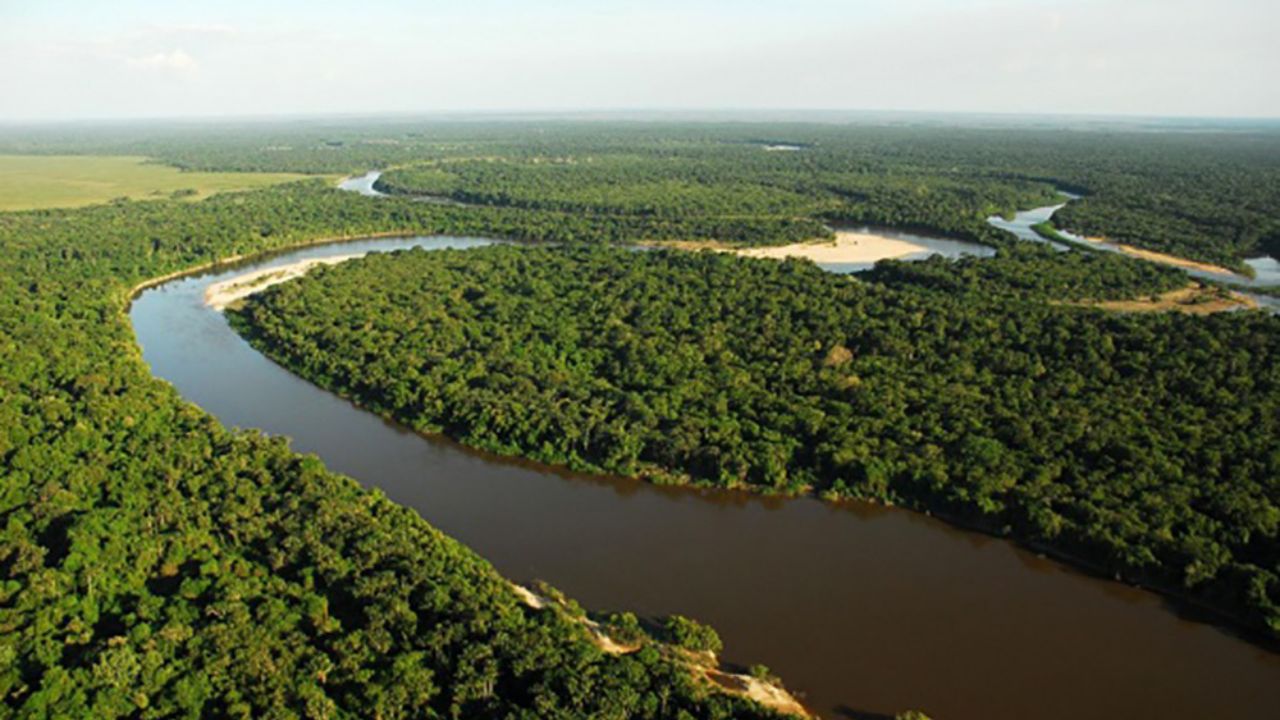 O parque nacional do Viruá destaca-se como uma das áreas de proteção ambiental mais ricas da Amazônia, localizado no estado de Roraima. Desde sua criação em 1998, esforços contínuos vêm sendo realizados para preservar esse ecossistema diversificado