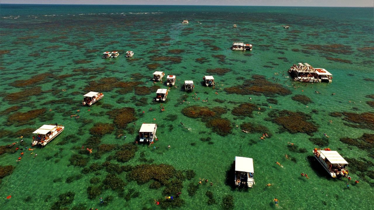 Explorar as águas cristalinas de Maracajaú é uma experiência única para quem busca contato direto com a natureza no Estado do Rio Grande do Norte