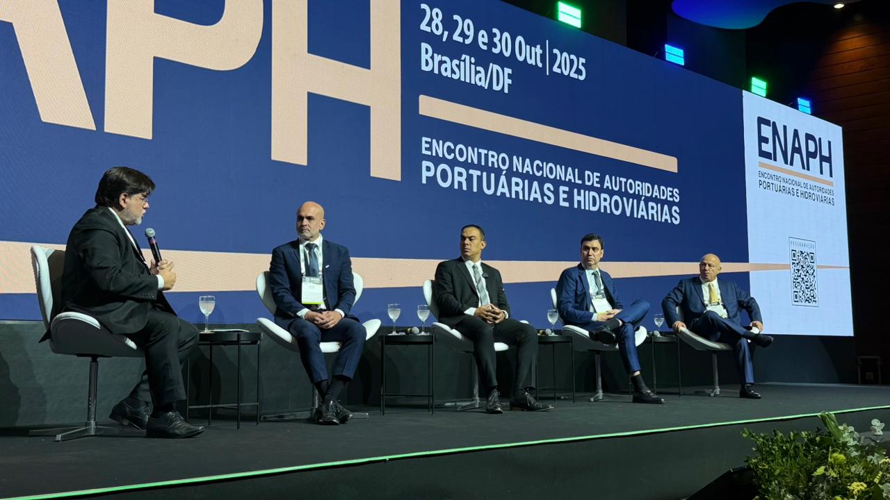 Participantes do Painel ENAPH