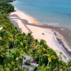 Um mergulho nas águas cristalinas da Praia do Espelho, no sul da Bahia, proporciona uma experiência singular para quem valoriza contato intenso com a natureza e cenários paradisíacos