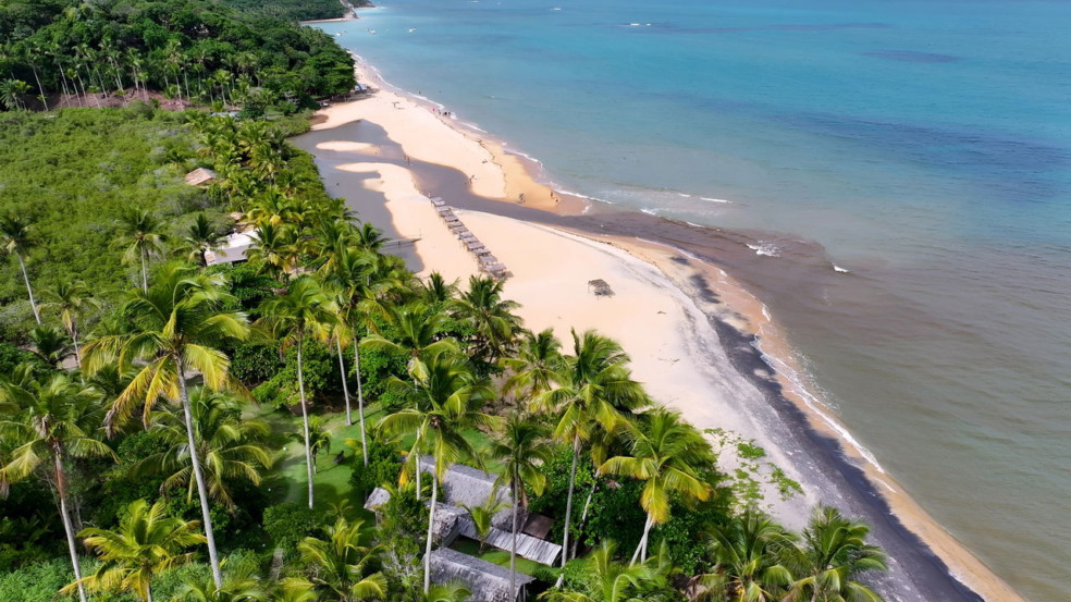 Um mergulho nas águas cristalinas da Praia do Espelho, no sul da Bahia, proporciona uma experiência singular para quem valoriza contato intenso com a natureza e cenários paradisíacos