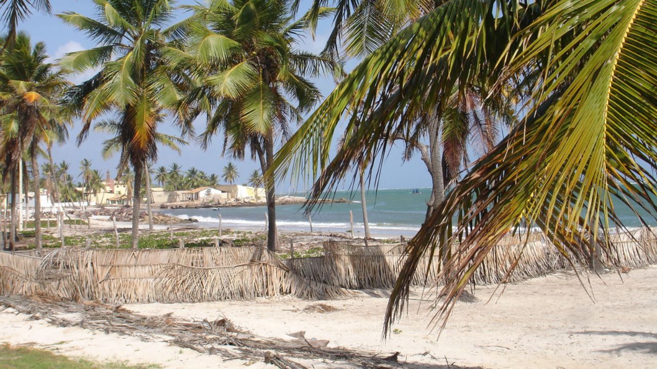 O mergulho nas águas tranquilas da Praia do Saco tornou-se uma experiência essencial para quem busca sossego à beira-mar no litoral de Sergipe