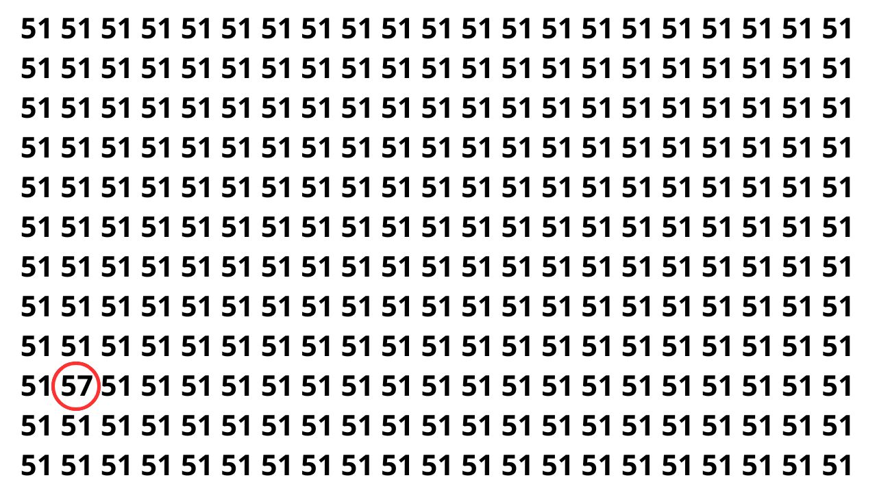 Você consegue achar o número 57 em 5 segundos?