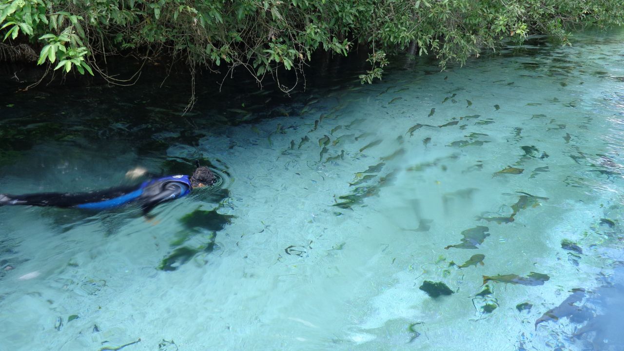 Um passeio de bote pelos rios Sucuri e Formoso proporciona uma imersão única na natureza do Mato Grosso do Sul
