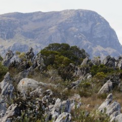 Lugar escondido entre as montanhas mineiras revela quedas d’água de tirar o fôlego