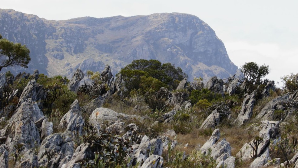 Lugar escondido entre as montanhas mineiras revela quedas d’água de tirar o fôlego Lugar escondido entre as montanhas mineiras revela quedas d’água de tirar o fôlego