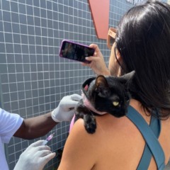 Campanha de vacinação antirrábica
