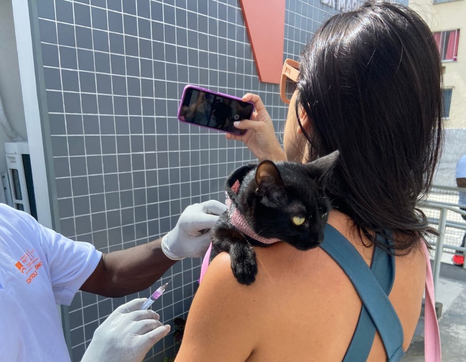 Campanha de vacinação antirrábica Campanha de vacinação antirrábica