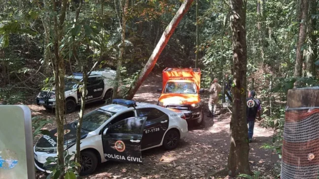 Divulgação/Polícia Civil Divulgação/Polícia Civil