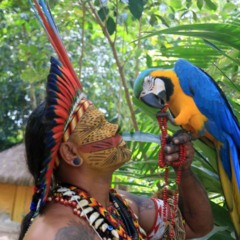 Destino onde as raízes culturais do Brasil ainda vibram forte