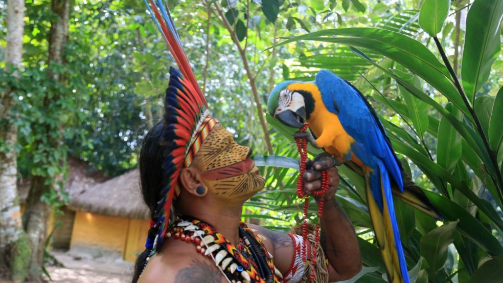 Destino onde as raízes culturais do Brasil ainda vibram forte