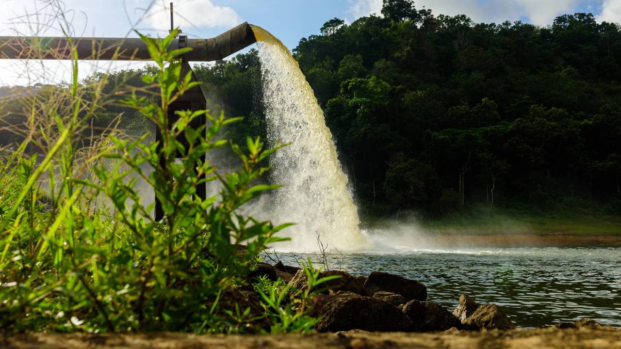 Sonhos envolvendo água despertam grande curiosidade, principalmente quando apresentam a água em condições específicas como a turvação. Para a psicologia, a imagem de água turva
