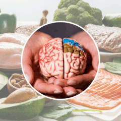 Alimentos que fortalecem o cérebro e mantêm a mente ativa Alimentos que fortalecem o cérebro e mantêm a mente ativa