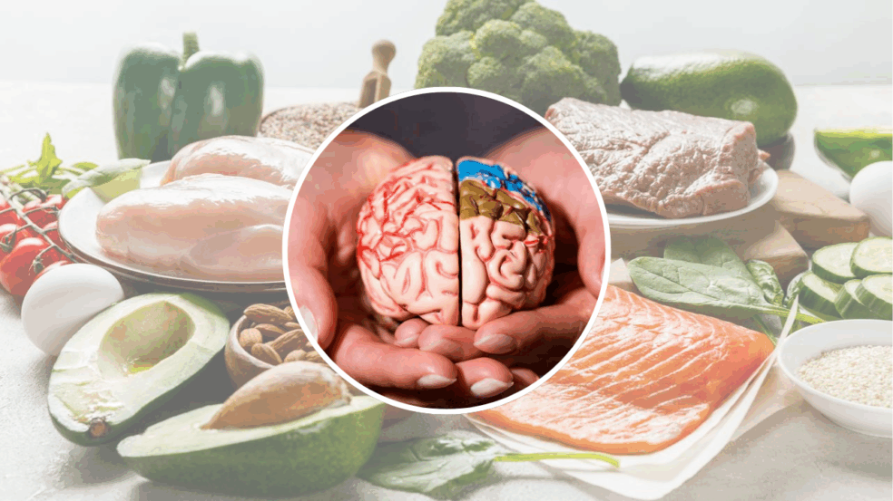 Alimentos que fortalecem o cérebro e mantêm a mente ativa Alimentos que fortalecem o cérebro e mantêm a mente ativa