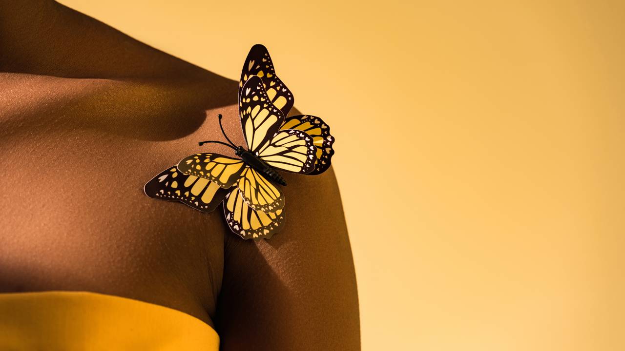 O que significa quando uma borboleta entra em casa é uma dúvida frequente e cercada por interpretações carregadas de simbolismo e curiosidade científica