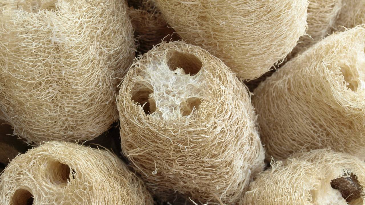 A escolha da esponja muda tudo na limpeza da cozinha