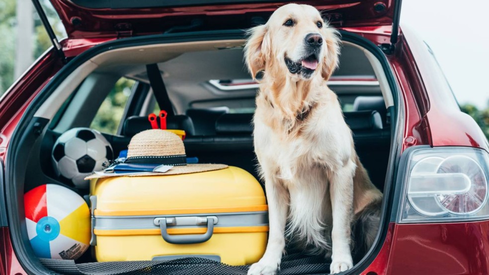 4 exercícios simples para fazer em viagens longas
