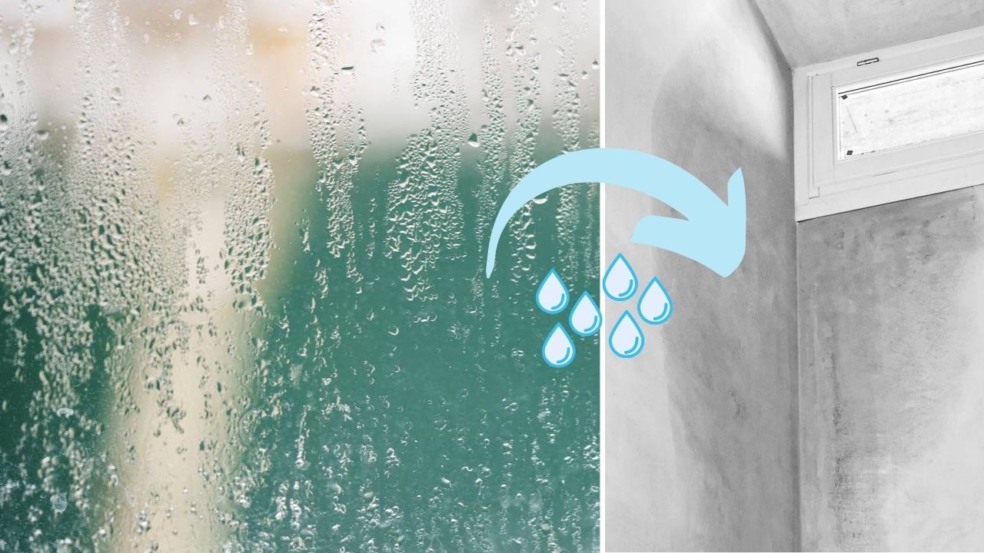 Os problemas da umidade em casa que você não pode ignorar Os problemas da umidade em casa que você não pode ignorar