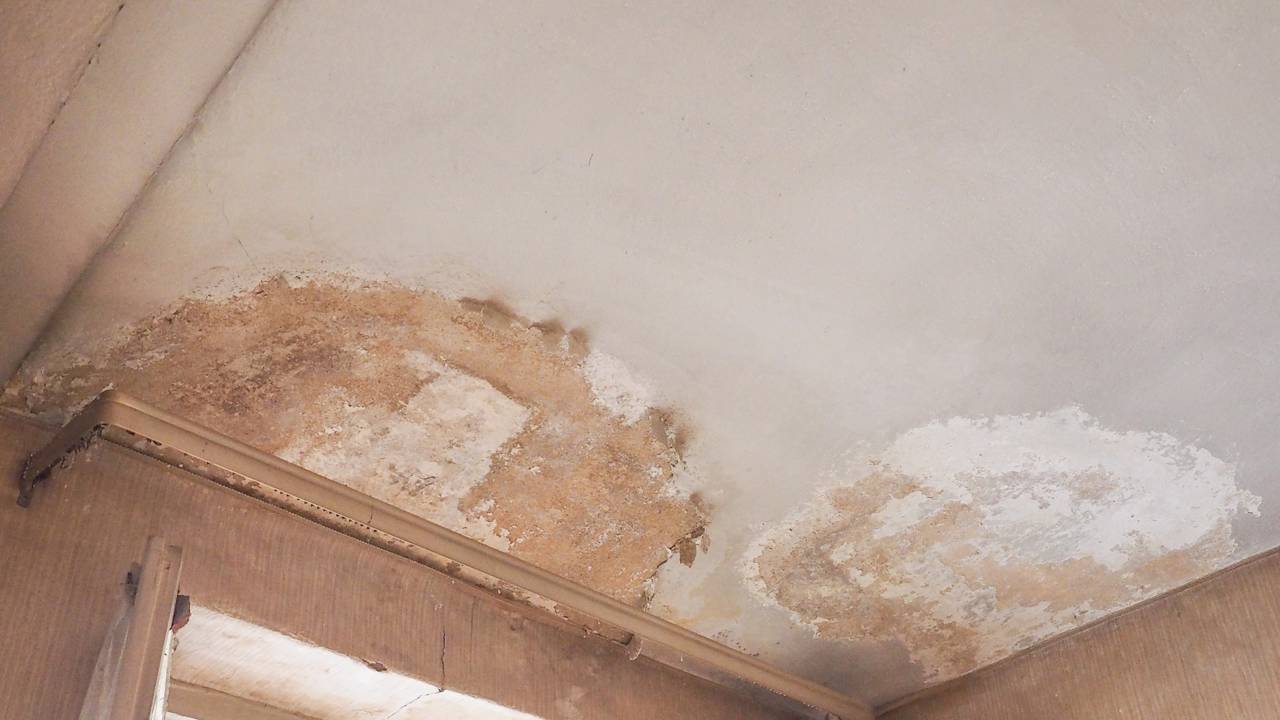 Os problemas da umidade em casa que você não pode ignorar