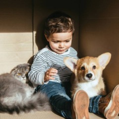 O poder dos animais de estimação no desenvolvimento infantil O poder dos animais de estimação no desenvolvimento infantil