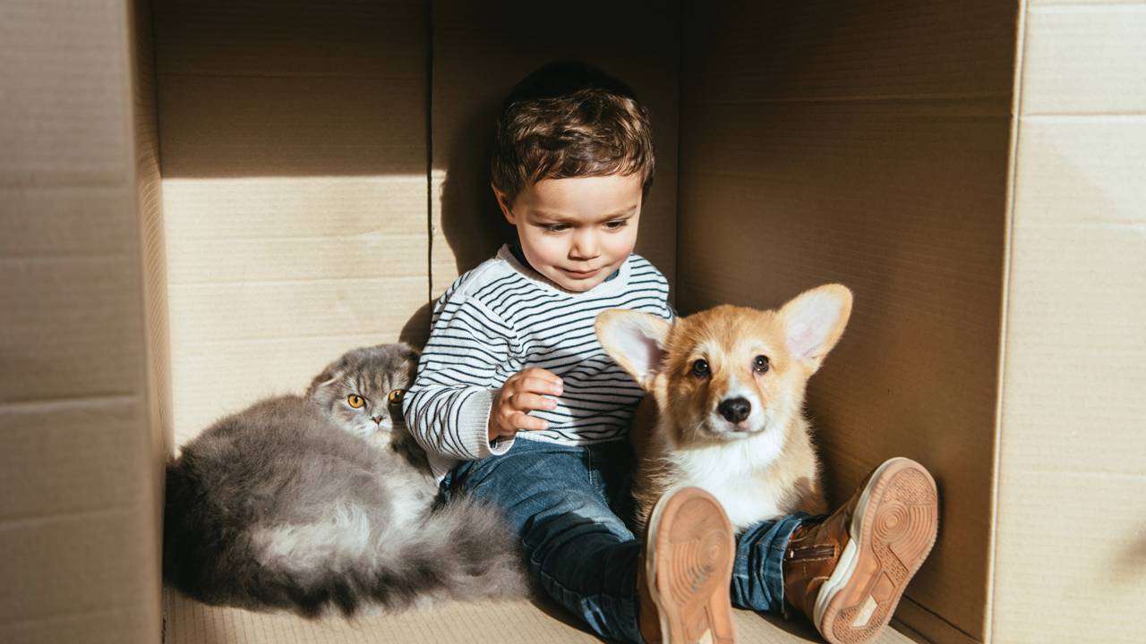 O poder dos animais de estimação no desenvolvimento infantil
