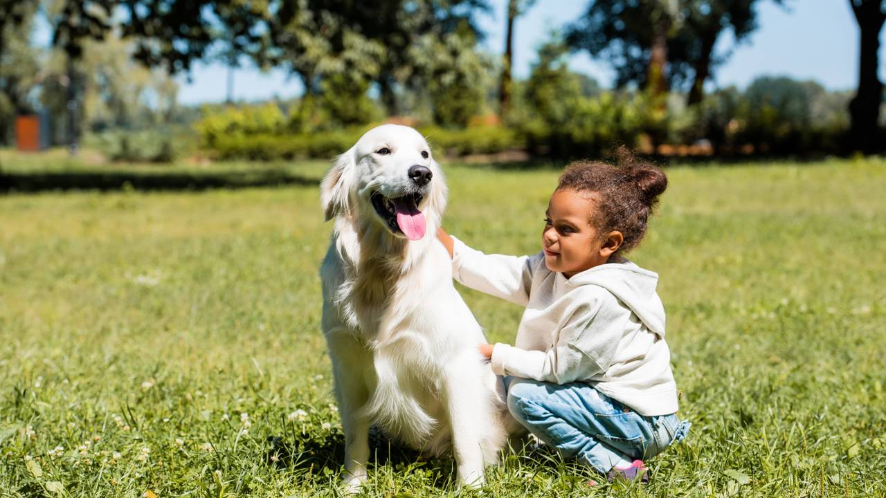 O poder dos animais de estimação no desenvolvimento infantil
