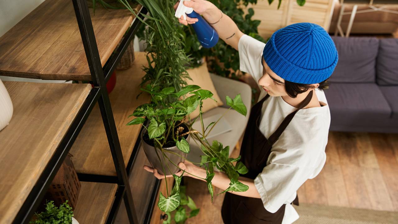 O que nunca fazer ao cultivar temperos em casa se você quer bons resultados