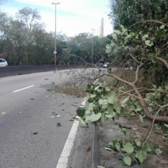 Divulgação/Operações Rio
