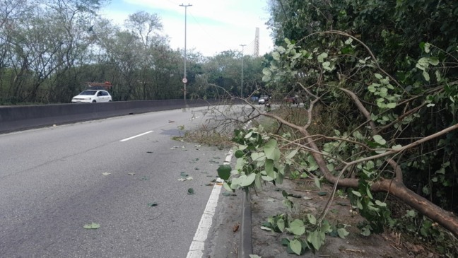 Divulgação/Operações Rio