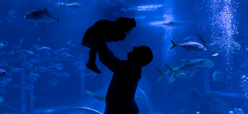 AquaRio oferece ingressos a R$ 99 para brasileiros
