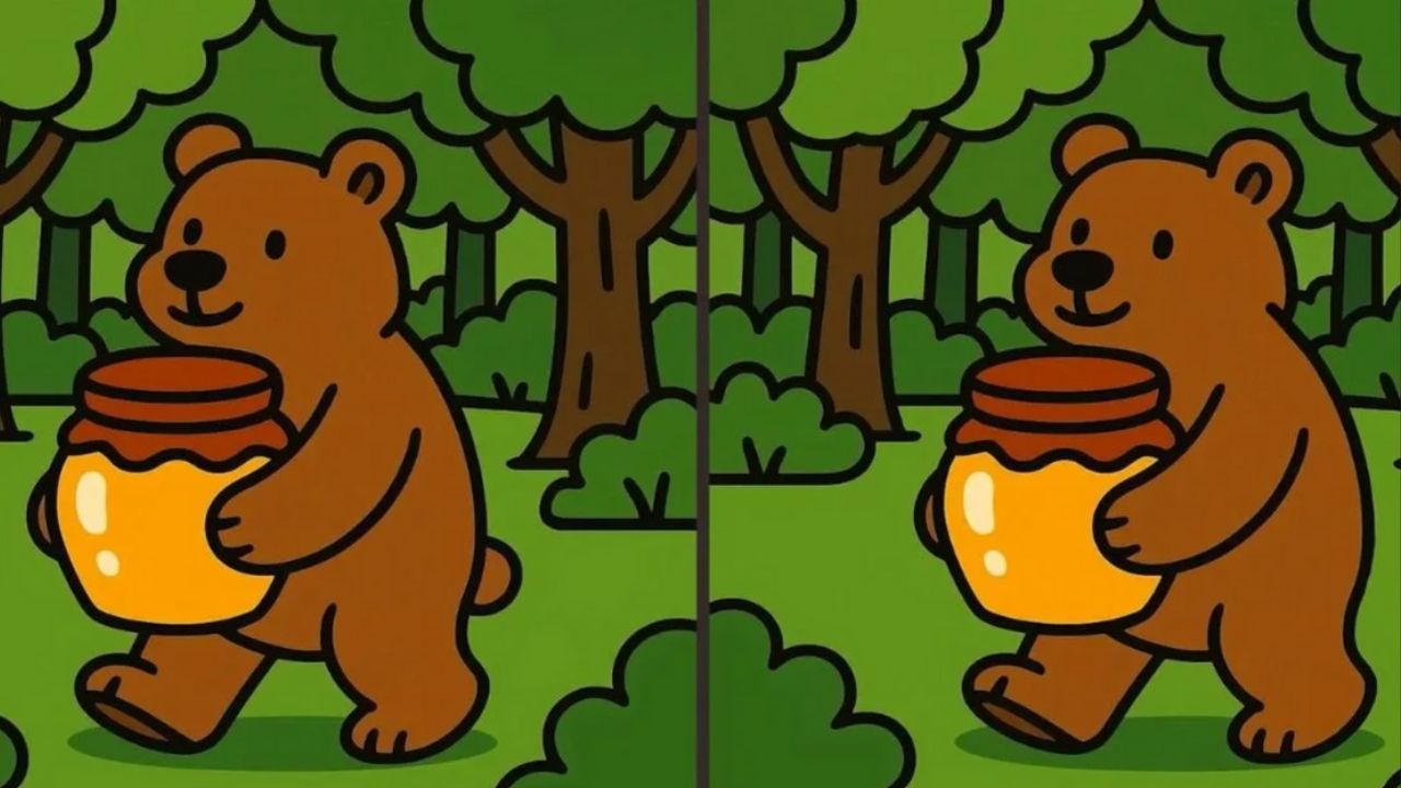 Somente quem tem visão aguçada consegue encontrar os erros na imagem
