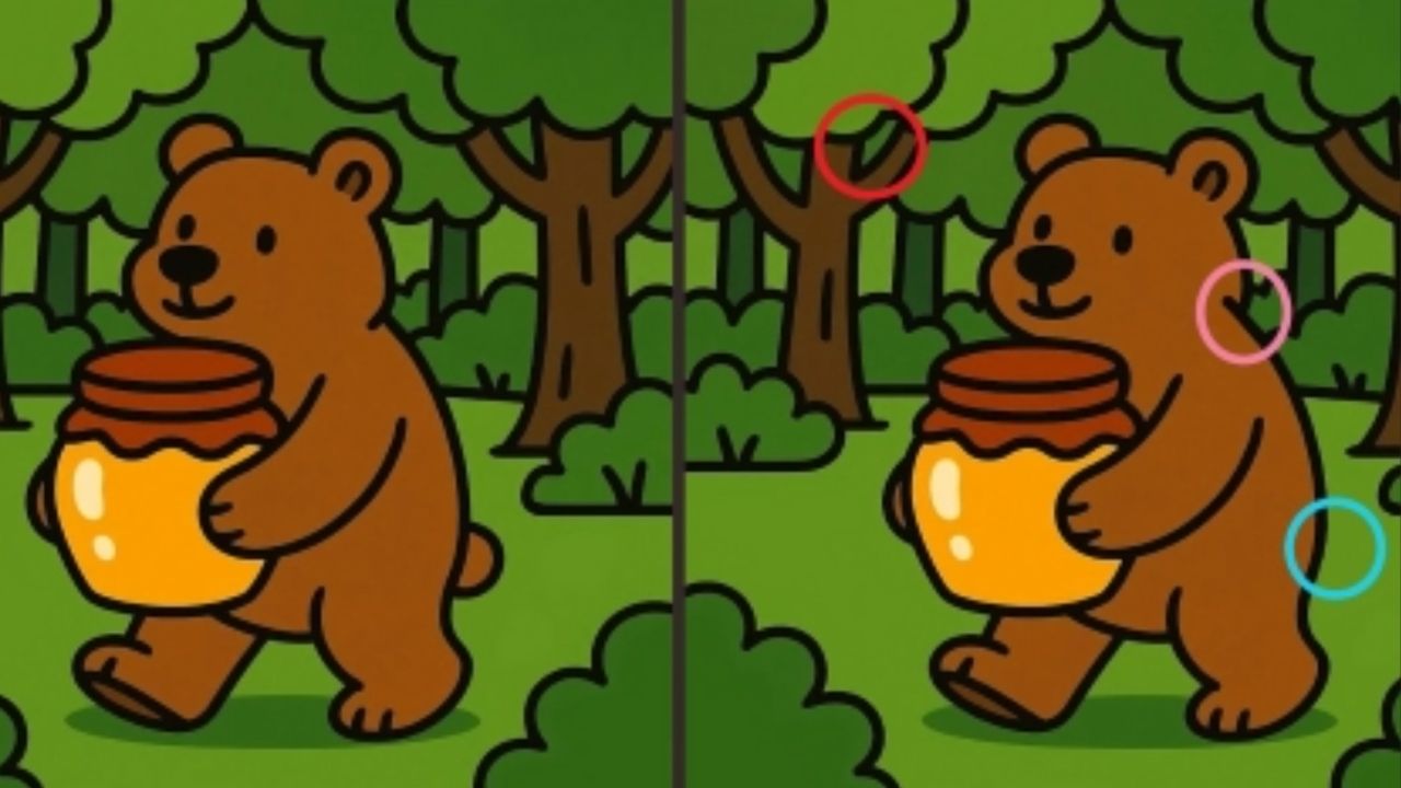 Somente quem tem visão aguçada consegue encontrar os erros na imagem