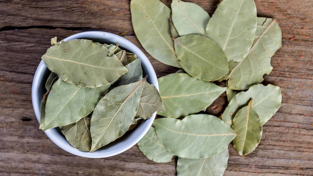 O alimento que afasta as baratas e que você tem em casa