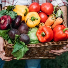 Truques simples para colher verduras em casa com saúde e praticidade