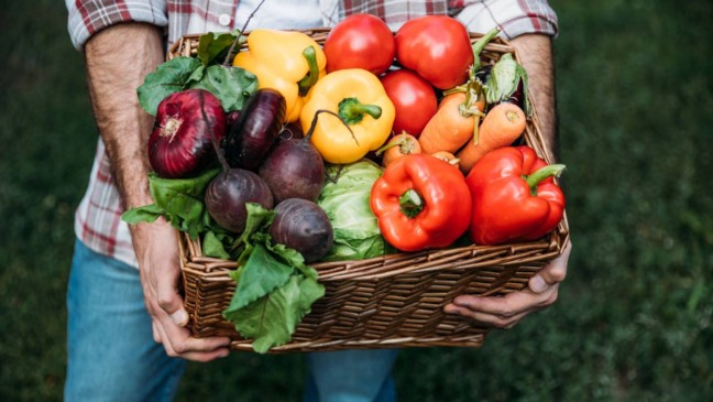 Truques simples para colher verduras em casa com saúde e praticidade