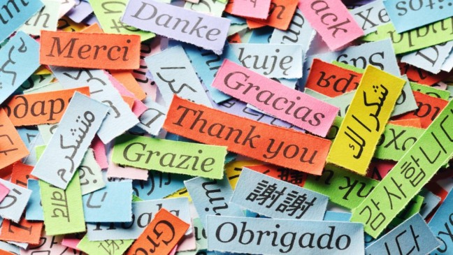Como aprender um idioma gastando pouco tempo por dia