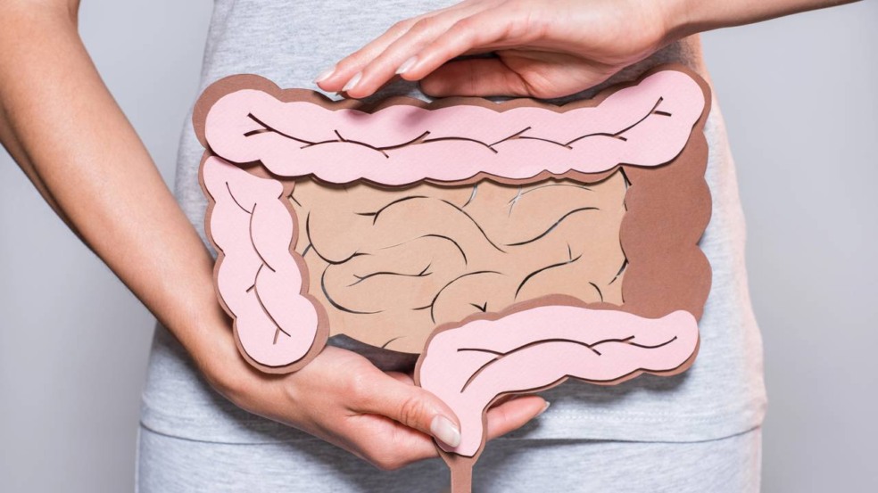 Essa fruta ajuda a deixar seu intestino sempre em dia Essa fruta ajuda a deixar seu intestino sempre em dia