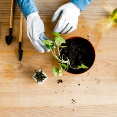 3 ideias de hobbies acessíveis que transformam seu tempo livre em prazer