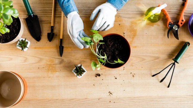 3 ideias de hobbies acessíveis que transformam seu tempo livre em prazer