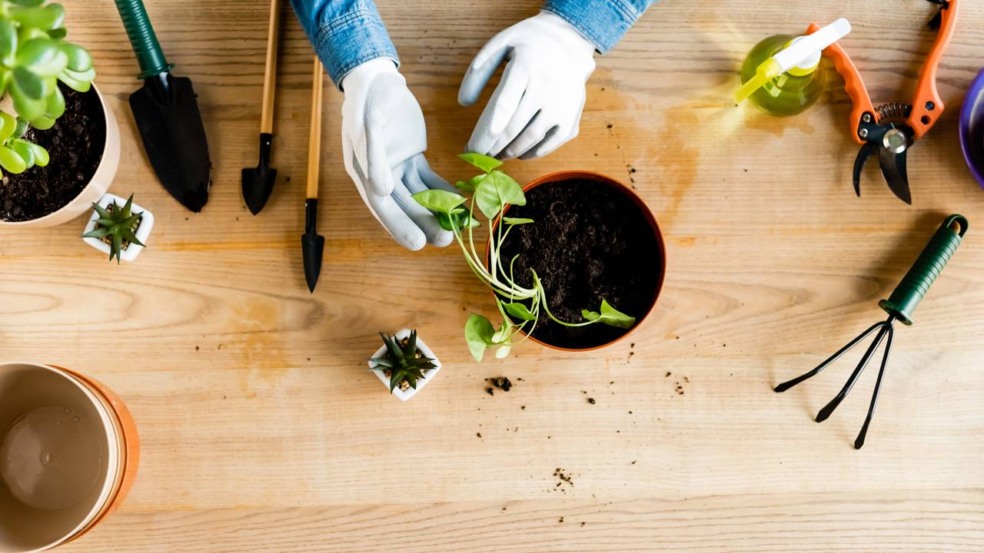 3 ideias de hobbies acessíveis que transformam seu tempo livre em prazer