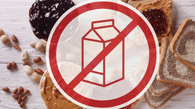 Lanches sem lactose que surpreendem até quem não é intolerante Lanches sem lactose que surpreendem até quem não é intolerante