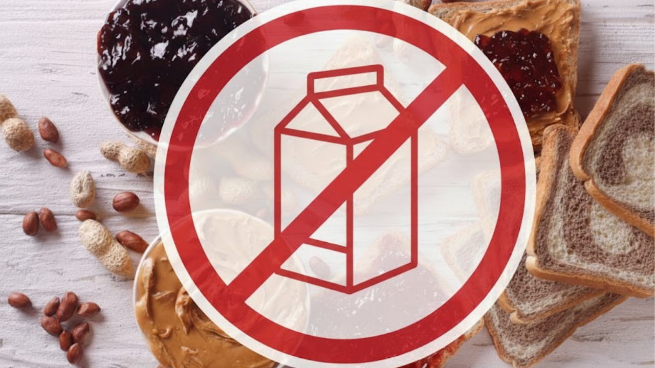 Lanches sem lactose que surpreendem até quem não é intolerante